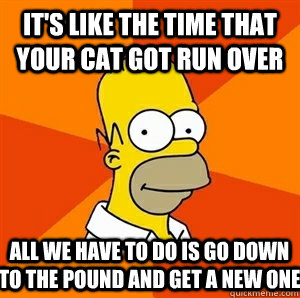 it's like the time that your cat got run over all we have to do is go down to the pound and get a new one - it's like the time that your cat got run over all we have to do is go down to the pound and get a new one  Advice Homer