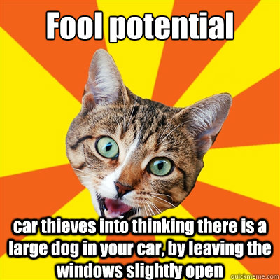 Fool potential  car thieves into thinking there is a large dog in your car, by leaving the windows slightly open  - Fool potential  car thieves into thinking there is a large dog in your car, by leaving the windows slightly open   Bad Advice Cat