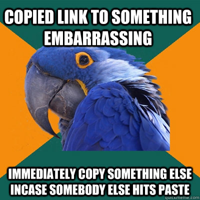 Copied link to something embarrassing Immediately copy something else incase somebody else hits paste   Paranoid Parrot