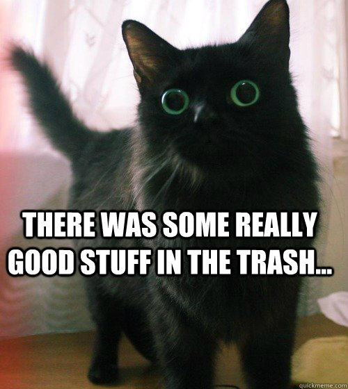 There was some really good stuff in the trash...  tweaked cat