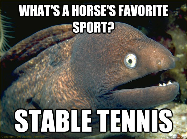 what's a horse's favorite sport? stable tennis  Bad Joke Eel