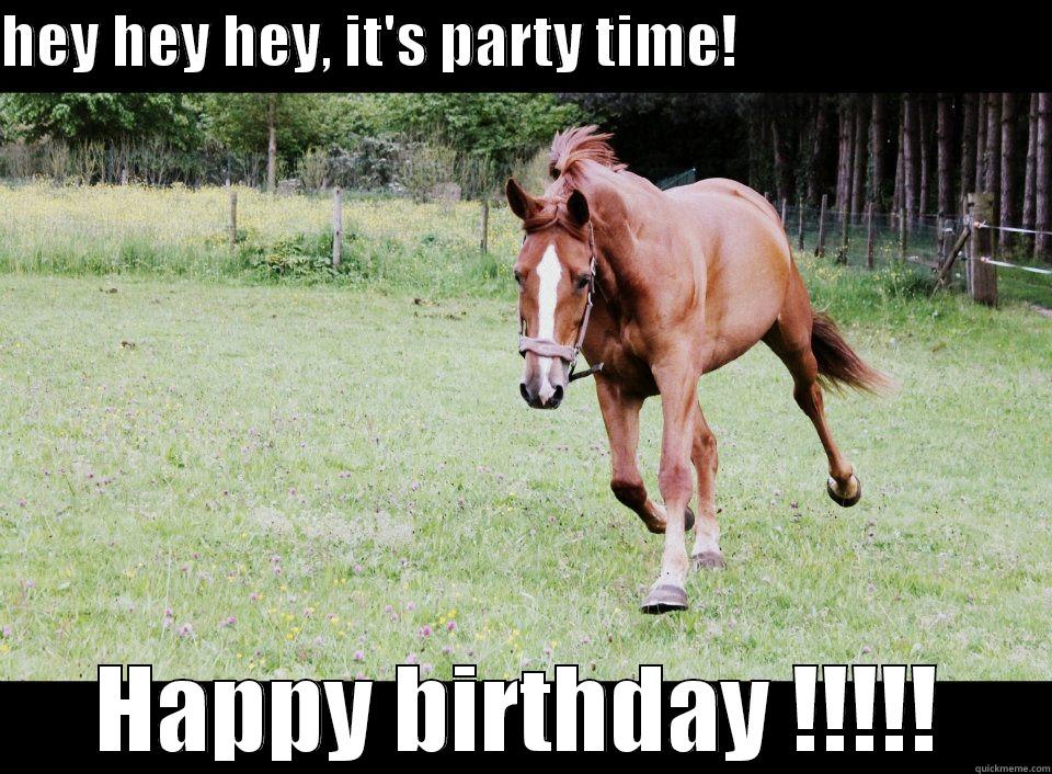 HEY HEY HEY, IT'S PARTY TIME!                           HAPPY BIRTHDAY !!!!! Misc