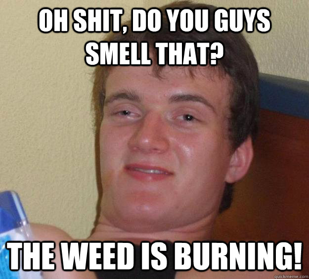 oh shit, do you guys smell that? the weed is burning!  10 Guy