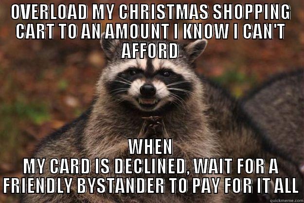 OVERLOAD MY CHRISTMAS SHOPPING CART TO AN AMOUNT I KNOW I CAN'T AFFORD WHEN MY CARD IS DECLINED, WAIT FOR A FRIENDLY BYSTANDER TO PAY FOR IT ALL Evil Plotting Raccoon