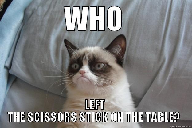 Scared of  - WHO LEFT THE SCISSORS STICK ON THE TABLE?  Grumpy Cat