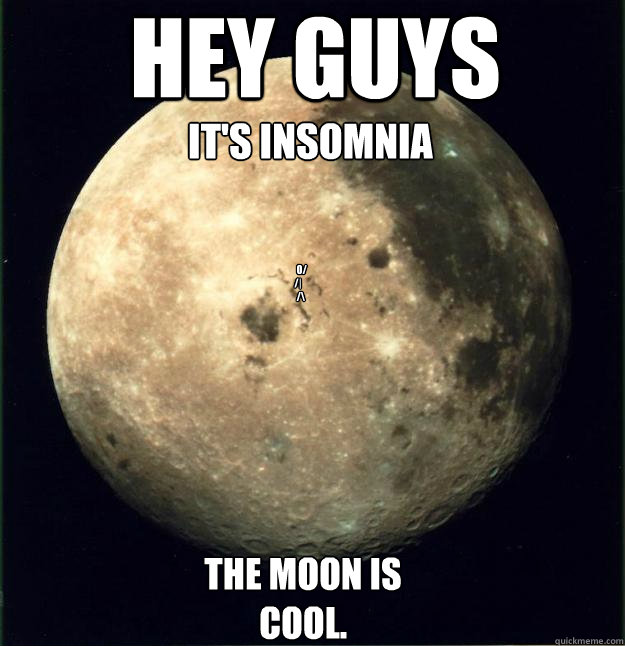 HEY GUYS IT'S INSOMNIA THE MOON IS COOL.     o/
/|
   /\  