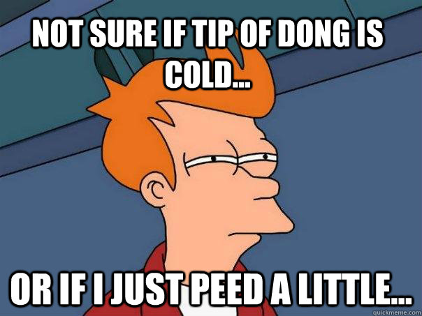 Not sure if tip of dong is cold... Or if I just peed a little... - Not sure if tip of dong is cold... Or if I just peed a little...  Futurama Fry