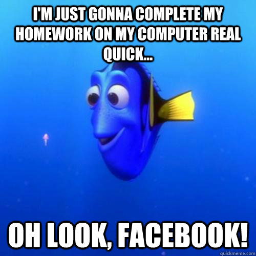 I'm just gonna complete my homework on my computer real quick... Oh look, facebook!  dory