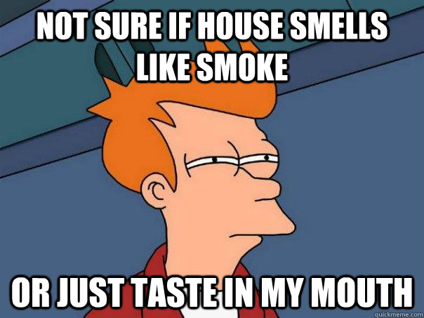 not sure if house smells like smoke Or just taste in my mouth  Futurama Fry