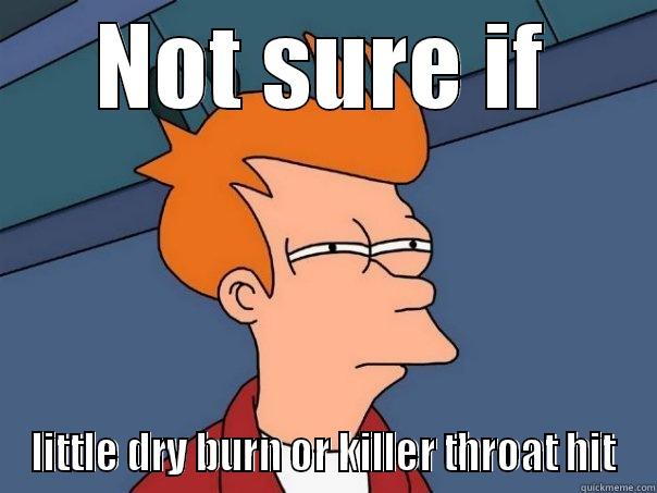 NOT SURE IF LITTLE DRY BURN OR KILLER THROAT HIT Futurama Fry