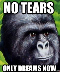 No tears Only dreams now - No tears Only dreams now  Crazy Jimmies