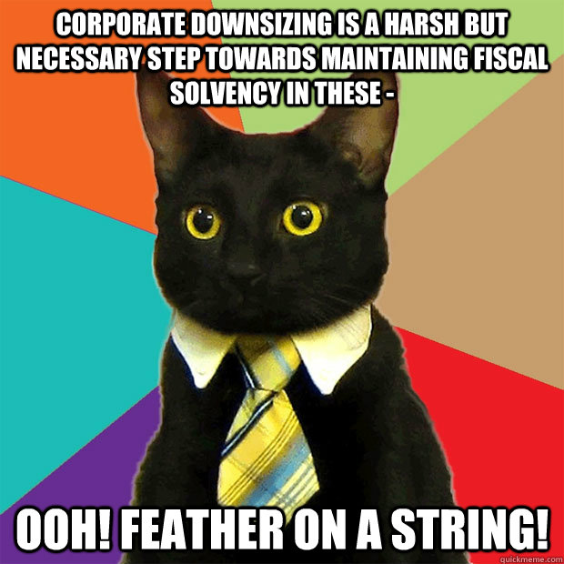 Corporate downsizing is a harsh but necessary step towards maintaining fiscal solvency in these - OOH! Feather on a string! - Corporate downsizing is a harsh but necessary step towards maintaining fiscal solvency in these - OOH! Feather on a string!  Business Cat