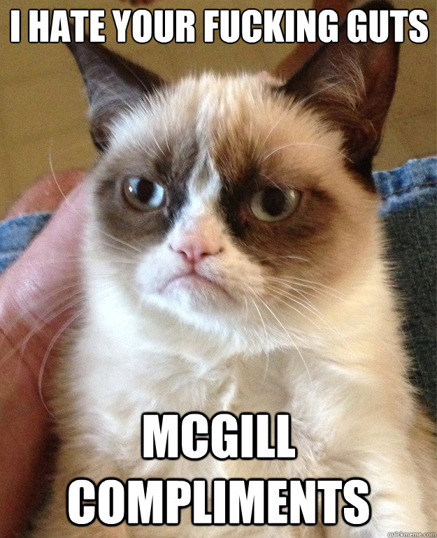 i hate your fucking guts mcgill compliments - i hate your fucking guts mcgill compliments  Grumpy Cat