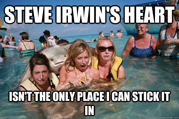 Steve irwin's heart isn't the only place i can stick it in - Steve irwin's heart isn't the only place i can stick it in  Pervert Stingray