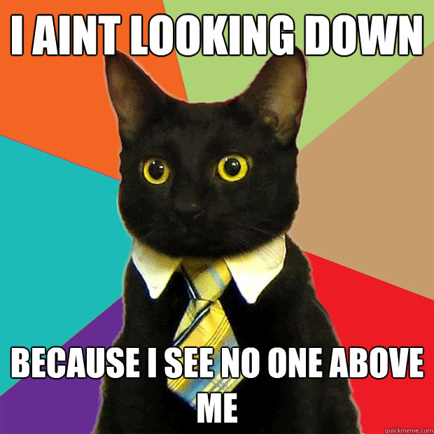 I Aint looking down Because i see no one above me  Business Cat