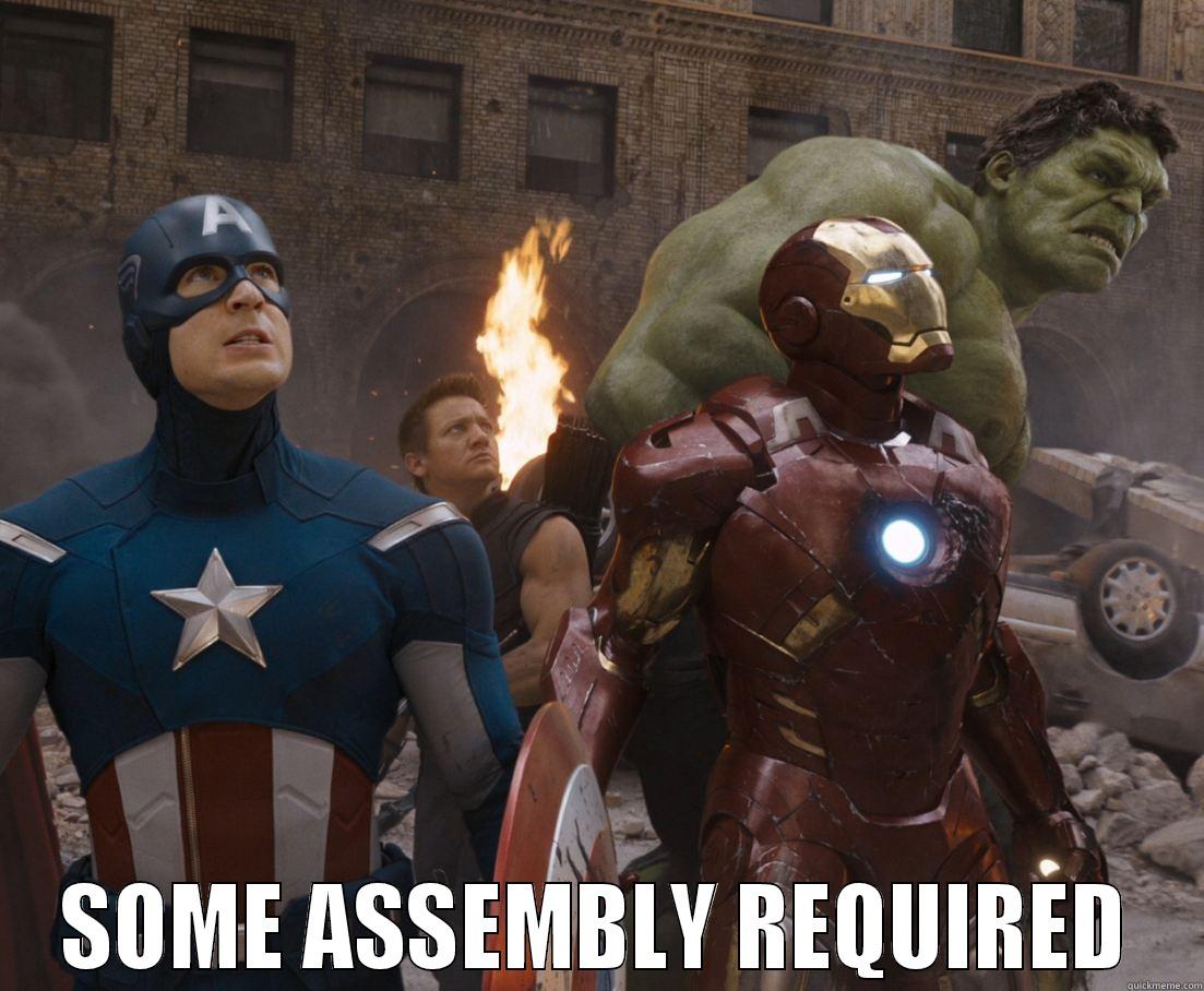 Avengers Warning -  SOME ASSEMBLY REQUIRED Misc