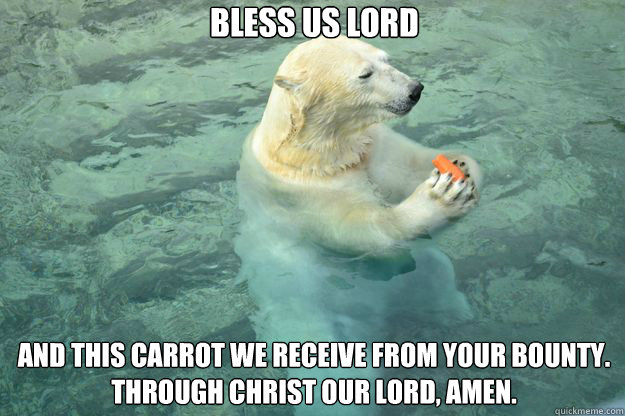 Bless us lord and this carrot we receive from your bounty. through christ our lord, amen.  