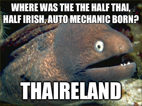 Where was the the half Thai, half irish, auto mechanic born? Thaireland  Bad Joke Eel