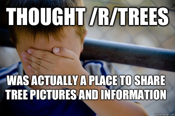 Thought /r/trees Was actually a place to share tree pictures and information  Confession kid