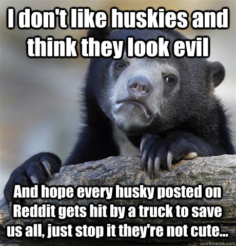 I don't like huskies and think they look evil And hope every husky posted on Reddit gets hit by a truck to save us all, just stop it they're not cute... - I don't like huskies and think they look evil And hope every husky posted on Reddit gets hit by a truck to save us all, just stop it they're not cute...  Confession Bear