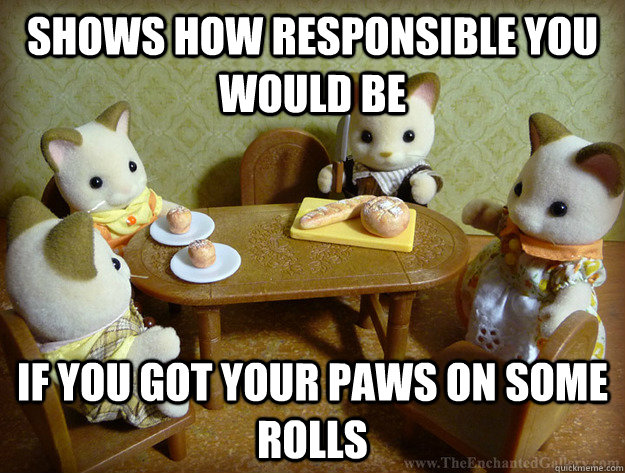 shows how responsible you would be  if you got your paws on some rolls  