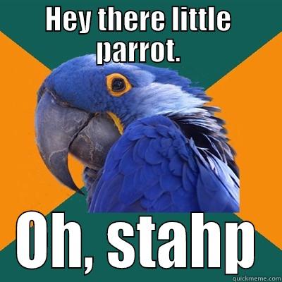 HEY THERE LITTLE PARROT. OH, STAHP Paranoid Parrot