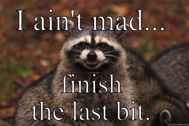 I AIN'T MAD... FINISH THE LAST BIT. Evil Plotting Raccoon