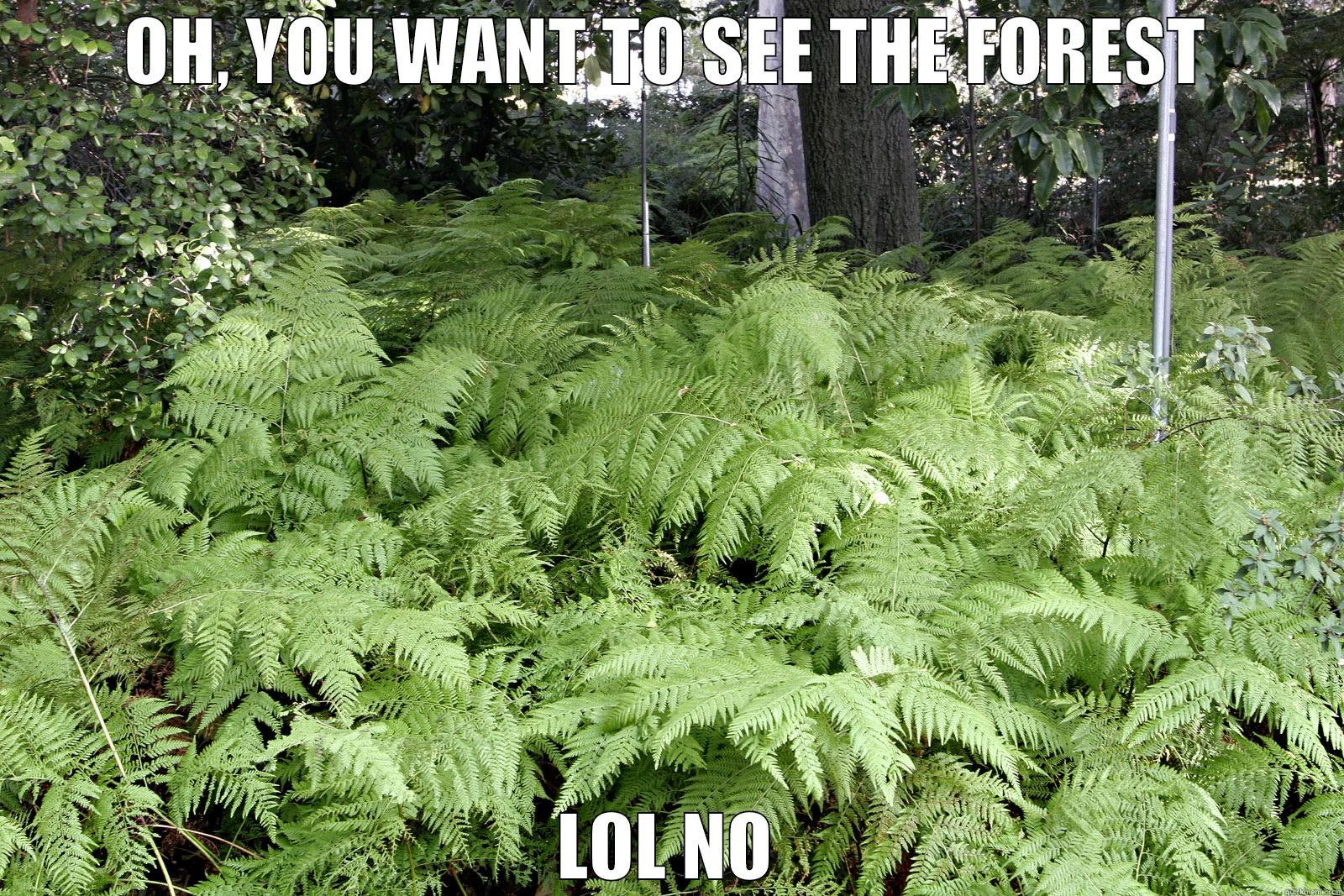 OH, YOU WANT TO SEE THE FOREST LOL NO Misc