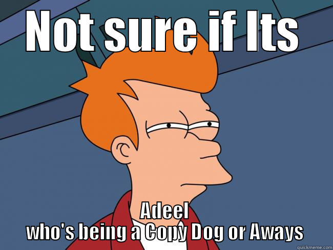 NOT SURE IF ITS ADEEL WHO'S BEING A COPY DOG OR AWAYS Misc