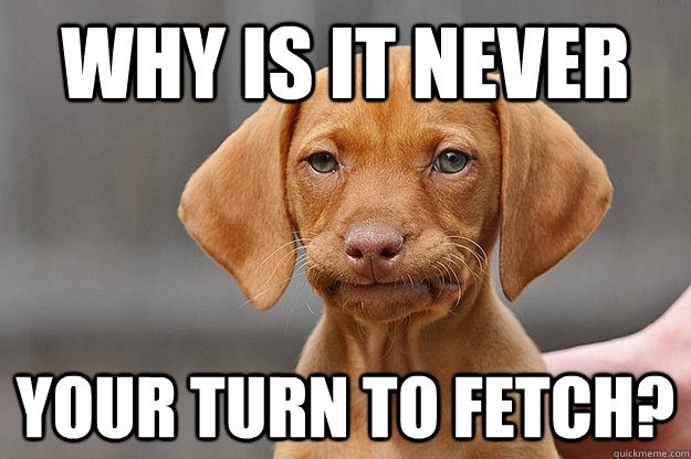 Why is it never your turn to fetch?  