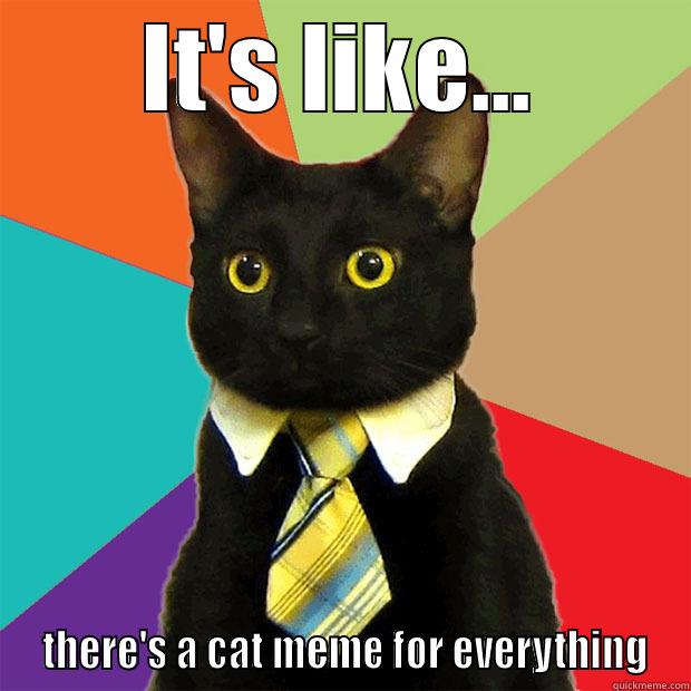 IT'S LIKE...  THERE'S A CAT MEME FOR EVERYTHING Business Cat