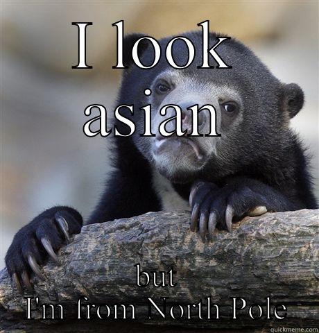 I LOOK ASIAN BUT I'M FROM NORTH POLE Confession Bear