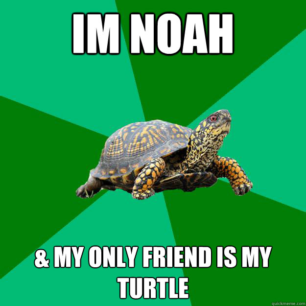 im noah & my only friend is my turtle   Torrenting Turtle