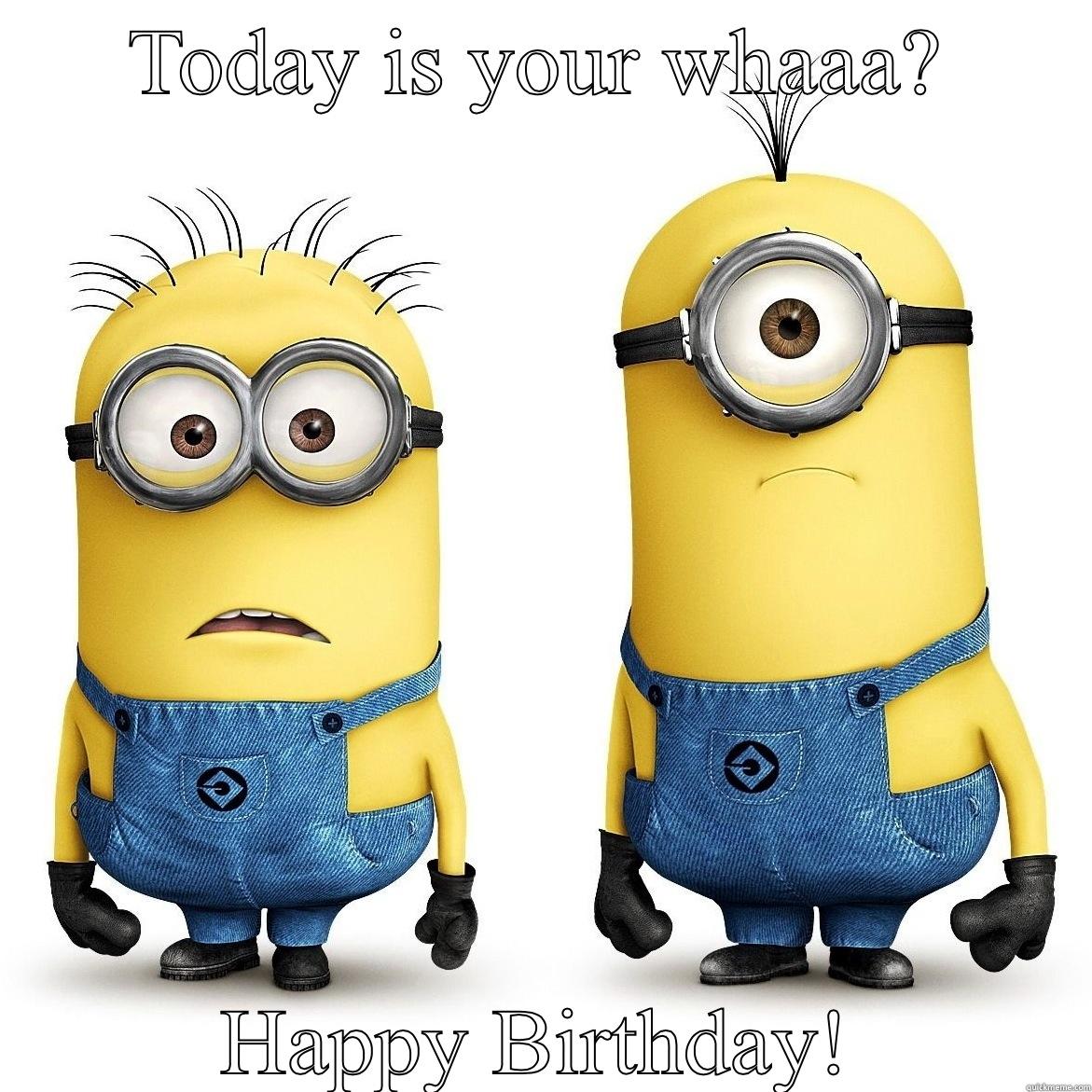 TODAY IS YOUR WHAAA? HAPPY BIRTHDAY! Misc