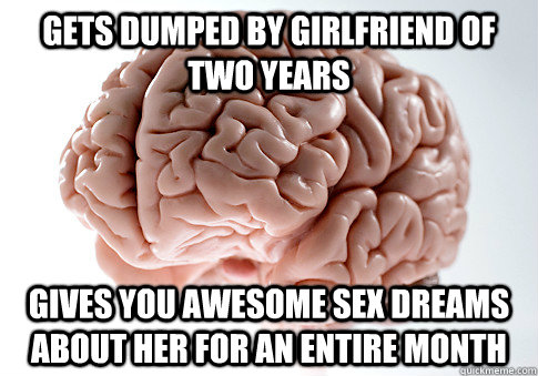 Gets dumped by girlfriend of two years  Gives you awesome sex dreams about her for an entire month   Scumbag Brain