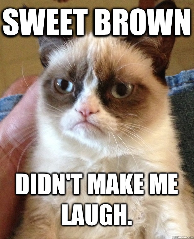 Sweet Brown Didn't Make Me Laugh.  Grumpy Cat