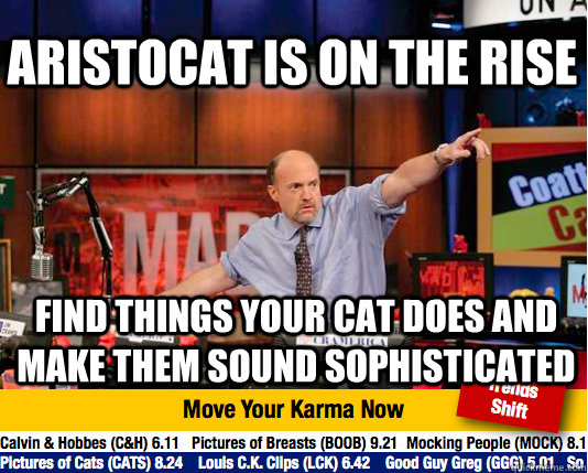 Aristocat is on the rise find things your cat does and make them sound sophisticated  Mad Karma with Jim Cramer