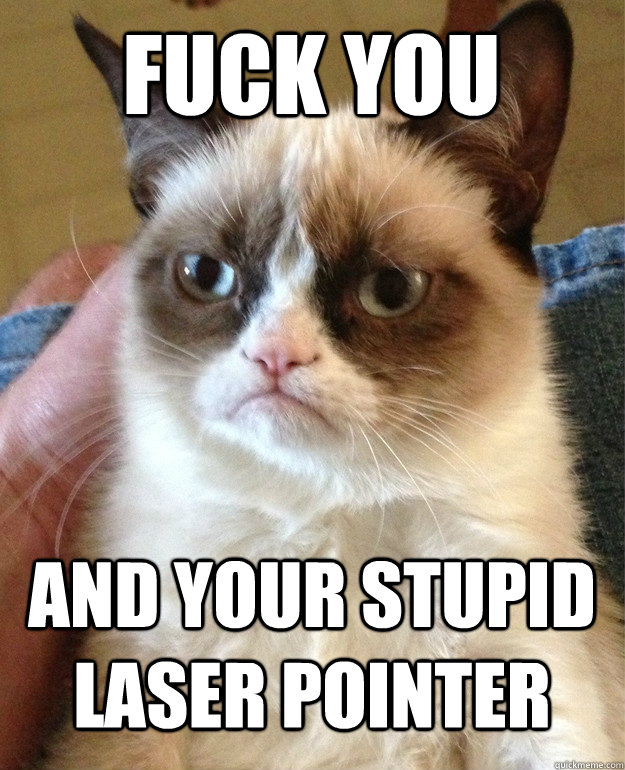 fuck you and your stupid laser pointer  Grumpy Cat