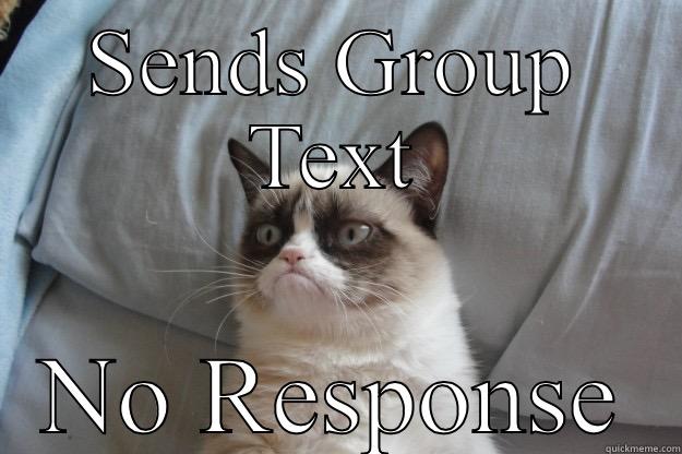 SENDS GROUP TEXT NO RESPONSE Grumpy Cat