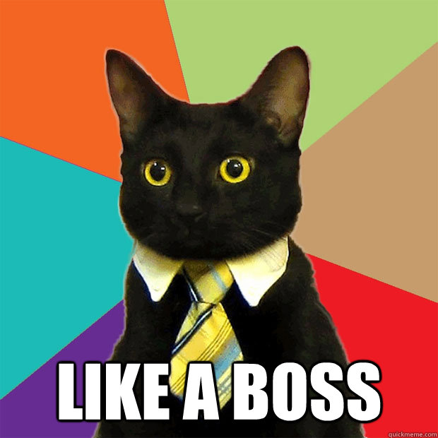  Like a boss  Business Cat