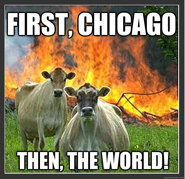 First, Chicago Then, The World!  Evil cows