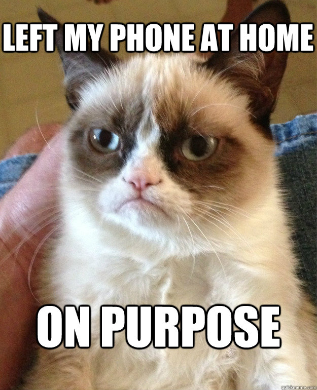 left my phone at home on purpose  Grumpy Cat