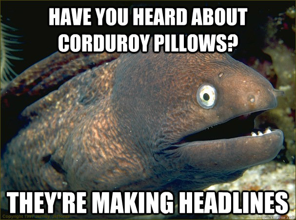 Have you heard about corduroy pillows? they're making headlines  Bad Joke Eel