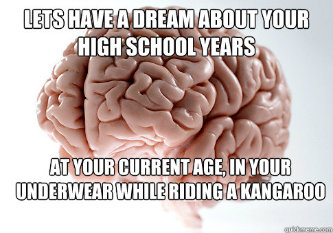 Lets have a dream about your high school years at your current age, in your underwear while riding a kangaroo  Scumbag Brain