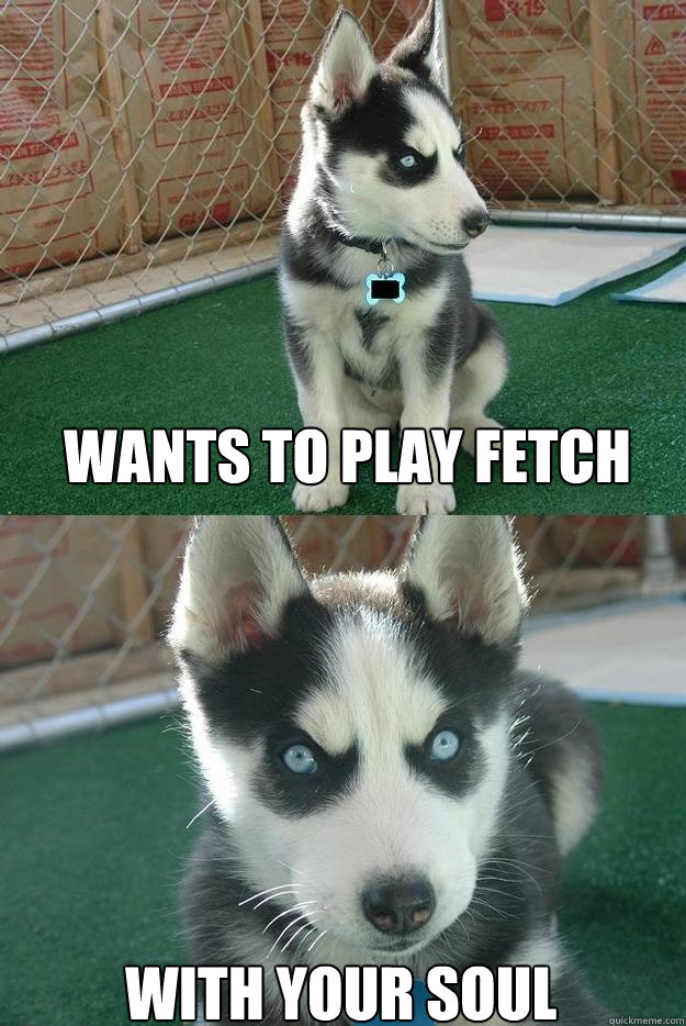 wants to play fetch with your soul  Insanity puppy