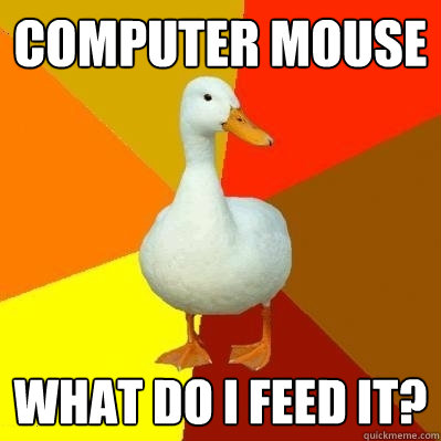 Computer Mouse What do I feed it?  Tech Impaired Duck