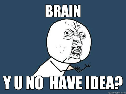 BRAIN y u no  have idea?  Y U No