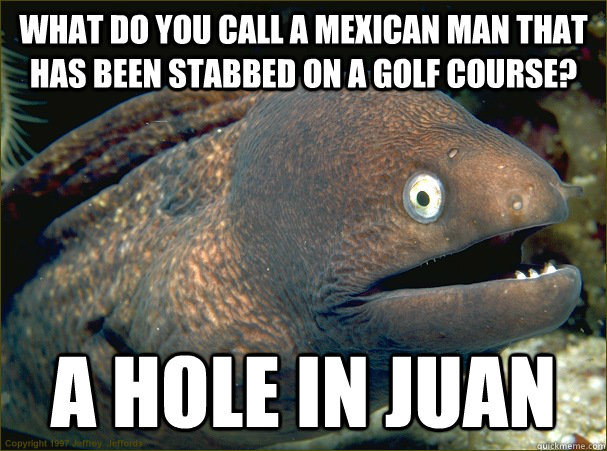 What do you call a Mexican man that has been stabbed on a golf course? a hole in Juan  Bad Joke Eel