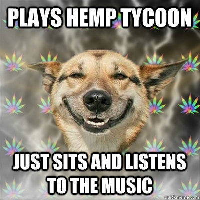 Plays Hemp Tycoon Just sits and listens to the music  Stoner Dog