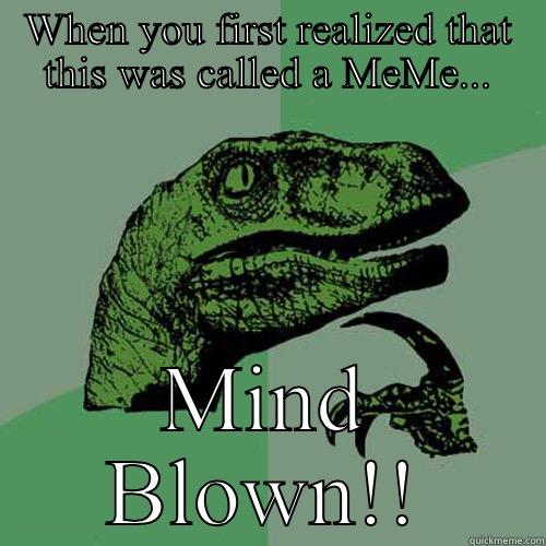 WHEN YOU FIRST REALIZED THAT THIS WAS CALLED A MEME... MIND BLOWN!! Philosoraptor